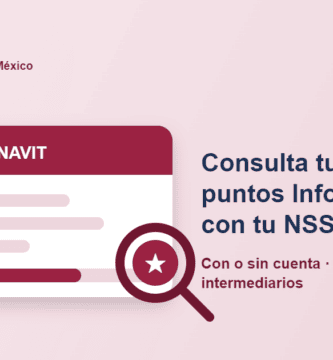 consultar puntos infonavit con nss