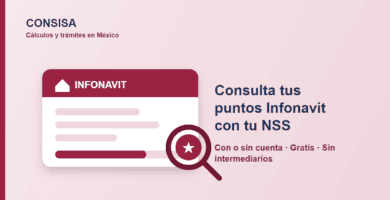 consultar puntos infonavit con nss