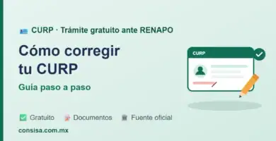 Cómo corregir tu CURP: guía paso a paso ante RENAPO