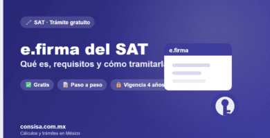 e.firma del SAT: qué es, requisitos y cómo tramitarla