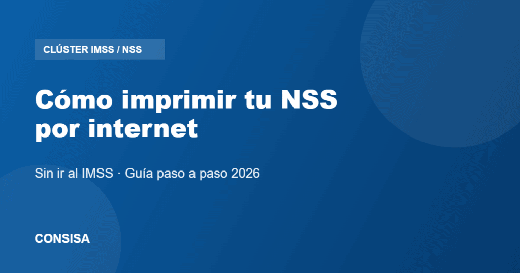 Cómo imprimir tu NSS por internet sin ir al IMSS - CONSISA